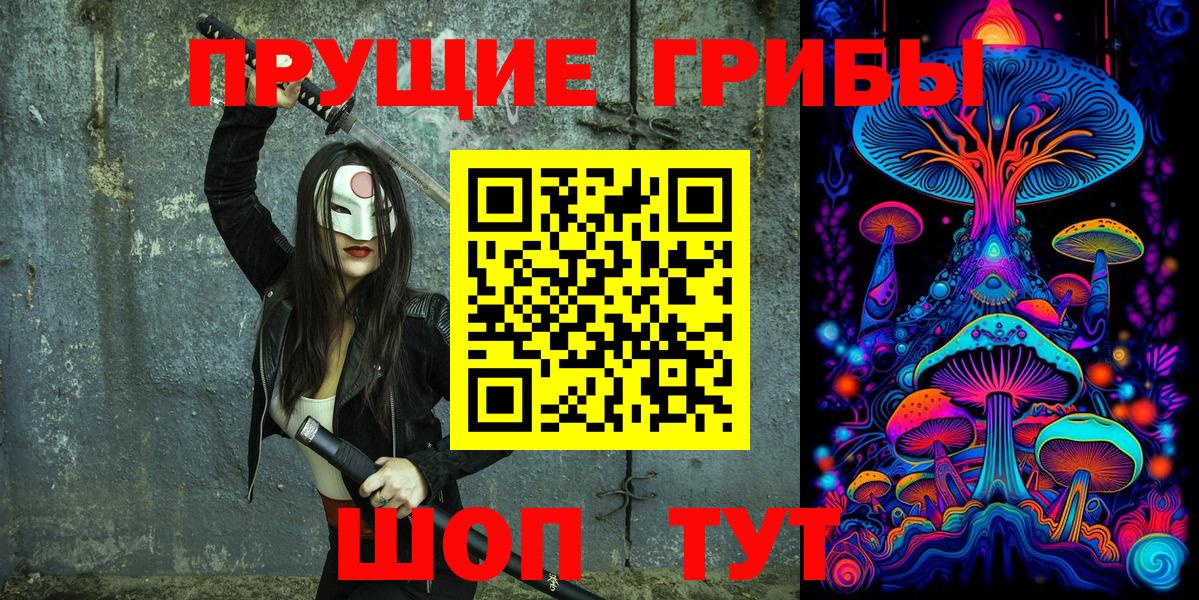 Псилоцибиновые грибы мицелий  Псилоцибиновые грибы мицелий  Вход с VPN  Новочеркасск 